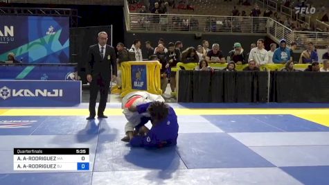 VALOR ULYSSES BOYER vs ARISTIDES ARAUJO-RODRIGUEZ 2024 Pan Jiu Jitsu IBJJF Championship