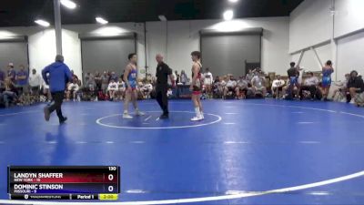 130 lbs Placement Matches (8 Team) - Landyn Shaffer, New York vs Dominic Stinson, Missouri