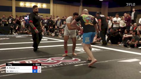 Andres Ponce vs Michael Mitri 2024 ADCC North American Trials 2