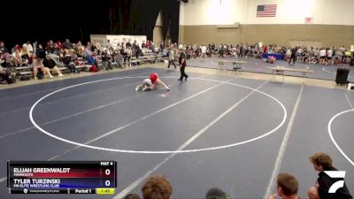 120 lbs Semifinal - Elijah Greenwaldt, Minnesota vs Tyler Turzinski, MN Elite Wrestling Club