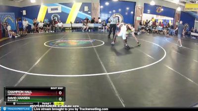 132 White Semifinal - David Hansen, Buchholz vs Champion Hall, Lincoln Park Academy