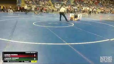 106 lbs Champ. Round 1 - Aaron Morris, Williston vs Carson Mosset, Bismarck St Mary`s