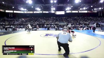 4A 113 lbs Cons. Round 1 - Alex Palmer, Moscow vs Alexander Lui, Idaho Falls