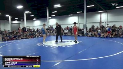 136 lbs 2nd Place Match (8 Team) - Blake De Stefano, Michigan vs Gavin Wells, Washington