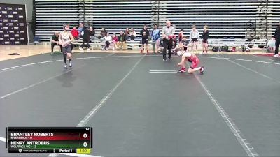 80 lbs Round 1 (10 Team) - Brantley Roberts, Riverheads vs Henry Antrobus, Wolfpack WC