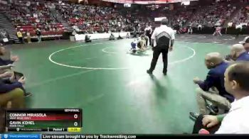 D1-182 lbs Semifinal - Connor Mirasola, West Bend West vs Gavin Kohel, River Falls