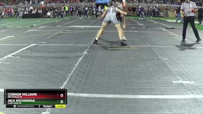 D1-165 lbs Quarterfinal - Nick Rochowiak, Hartland HS vs Connor Williams, Belleville HS