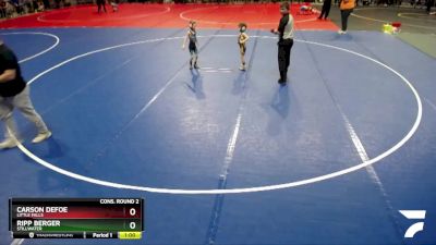 45 lbs Cons. Round 2 - Carson Defoe, Little Falls vs Ripp Berger, Stillwater