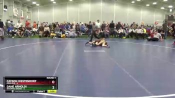 85 lbs Round 4 (6 Team) - Dane Arnoldi, Wyoming Brown vs Cayson Westendorf, Iowa Red