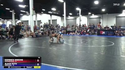 71 lbs Semis & 1st Wrestleback (8 Team) - Dominick Sindone, Michigan Blue vs Eldon Roth, Wisconsin