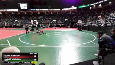 80 lbs Quarterfinal - Elijah Wineberg, PROA vs Parker Workman, WRC3