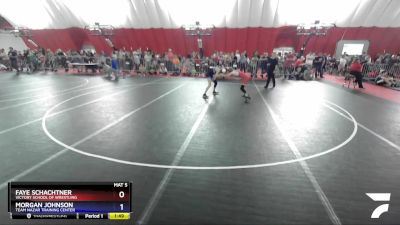 92 lbs Quarterfinal - Faye Schachtner, Victory School Of Wrestling vs Morgan Johnson, Team Nazar Training Center