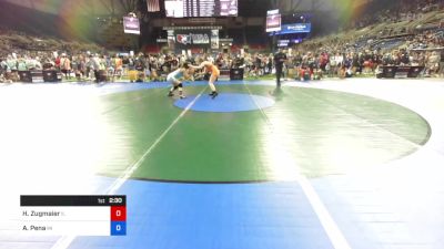 132 lbs Cons 32 #2 - Holly Zugmaier, Illinois vs Angelina Pena, Michigan