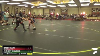 112 lbs Round 5 (6 Team) - Brody Reams, Revival Blue vs Anthony D`Allessio, Triumph WC