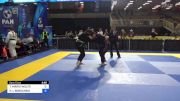 TAMARA MARIA WOLFE vs KARYN L BORSCHEID 2024 Pan Jiu Jitsu IBJJF Championship