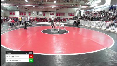 113 lbs Final - Anthony Vickers, Northbridge vs Alex Schaeublin, Saint John's Prep