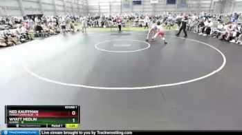 120 lbs Round 1 (8 Team) - Ned Kauffman, Pennsylvania Blue vs Wyatt Medlin, Illinois