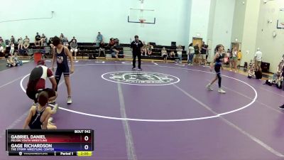 86 lbs Round 3 - Gage Richardson, The Storm Wrestling Center vs Gabriel Daniel, Pelion Youth Wrestling