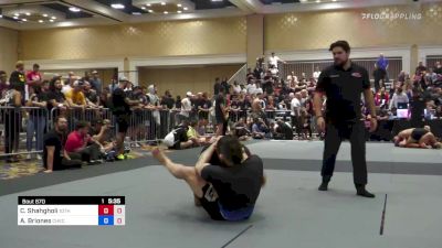 Chris Shahgholi vs Anthony Briones 2022 ADCC West Coast Trial