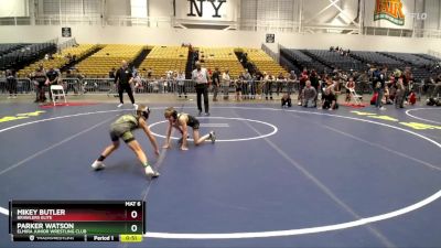 67 lbs 1st Place Match - Parker Watson, Elmira Junior Wrestling Club vs Mikey Butler, Brawlers Elite