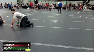 96 lbs Round 2 (4 Team) - Luca Galietti, PA Alliance vs Camden Hook, Mat Warriors Red