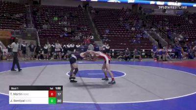 139 lbs Round Of 16 - Timothy Martin, Honesdale vs Joseph Sentipal, Burgettstown