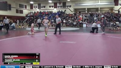 120 lbs Semifinal - Tanner Wilson, Independence vs Gavin Jensen, Williamsburg