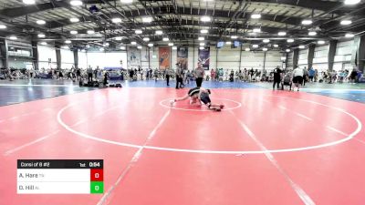 90 lbs Consi Of 8 #2 - Aidan Hare, TN vs David Hill, AL