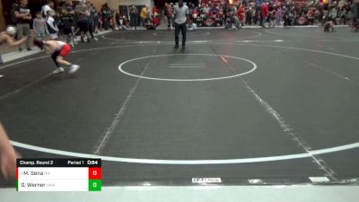 49 lbs Champ. Round 2 - Messias Sena, Ridge Wrestling vs Grayson Werner, Nebraska Wrestling Academy