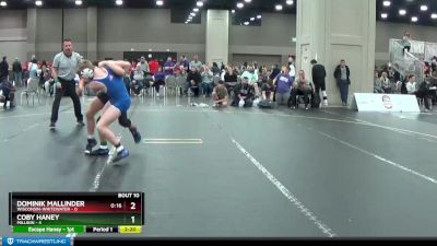 133 lbs Quarters & 1st Wb (16 Team) - Coby Haney, Millikin vs Dominik Mallinder, Wisconsin-Whitewater