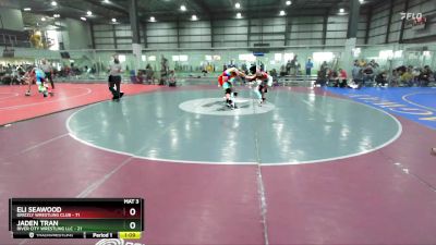 215 lbs Round 3 - Eli Seawood, Grizzly Wrestling Club vs Jaden Tran, River City Wrestling LLC