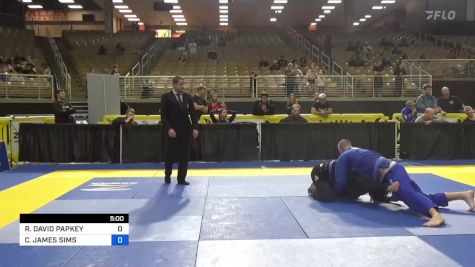 RICHARD DAVID PAPKEY vs CASEY JAMES SIMS 2024 Pan Jiu Jitsu IBJJF Championship