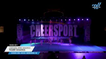 Carolina Spirit Athletics - Tiger Sharks [2024 L1 Mini - Novice - Restrictions - D2 Day 1] 2024 CHEERSPORT Concord Spring Classic