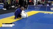 RAUL BARBOSA BASÍLIO vs RAFAEL SILVEIRA BORGES 2024 Pan Jiu Jitsu IBJJF Championship
