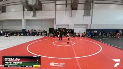 44 lbs Quarterfinal - Paxton Kaerwer, ReZults Wrestling vs Antonius Leija, Pirate Wrestling Club