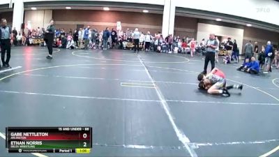 88 lbs Round 3 - Ethan Norris, Delta Wrestling vs Gabe Nettleton, Arlington