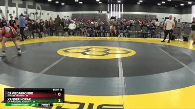 209 lbs Placement Matches (8 Team) - Xander Horak, CP Wrestling Academy vs CJ Vizcarrondo, Steller Trained