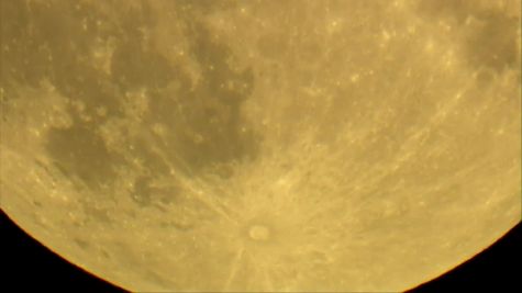 Bath Rugby vs Leicester Tigers 2019 Premiership 7s