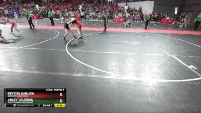 105 lbs Cons. Round 5 - Arley Vaughan, WautomaSuperStingers vs Peyton Harlow, Red Hot Wrestling