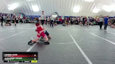 98 lbs Round 2 (8 Team) - Camden Hook, Team Shutt vs Alexander Viscido, Phoenix WC