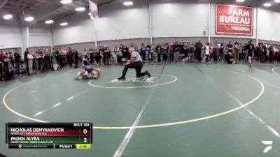 94 lbs Quarterfinal - Paden Alyea, Front Royal Wrestling Club vs Nicholas Demyanovich, River City Wrestling LLC