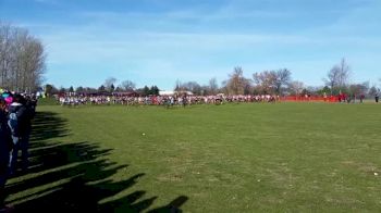 D1 NJCAA Men's Cross Country Championship Race