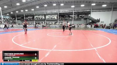 132 lbs Quarterfinal - Parker Trahan, Brooke Point vs Matthew Shodunke, Nansemond River