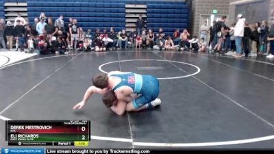 185 lbs Quarterfinal - Derek Mestrovich, N/a vs Eli Richards, East Idaho Elite