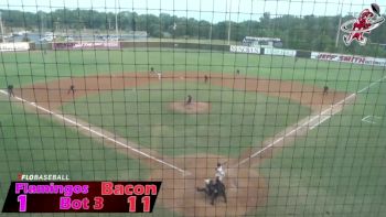 Replay: Flamingos vs Macon Bacon | Jun 8 @ 7 PM