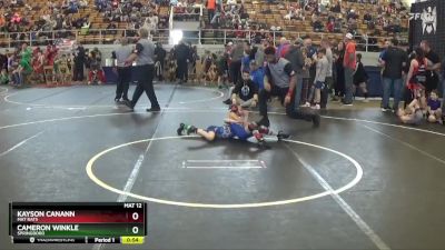 47 lbs Semifinal - Cameron Winkle, Springboro vs Kayson Canann, Mat Rats