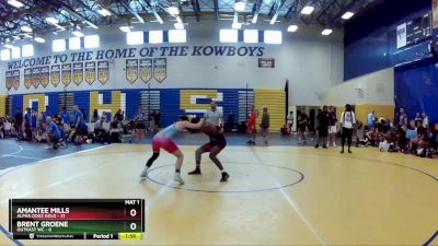 132 lbs Round 2 (8 Team) - Amantee Mills, Alpha Dogz Gold vs Brent Groene, OutKast WC