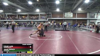 184 lbs Champ. Round 1 - Colby Lape, Augustana (IL) vs David Papach, Wartburg