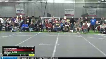98 lbs Cross Bracket (8 Team) - Kendall Kurtz, Iowa Gold vs Aaron Wilson, Nebraska Red