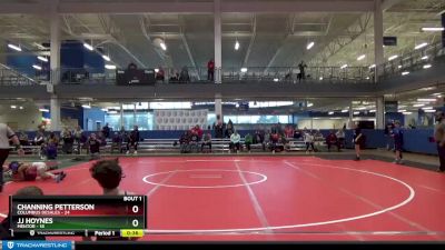 85 lbs Round 1 (8 Team) - Channing Petterson, Columbus Desales vs JJ Hoynes, Mentor